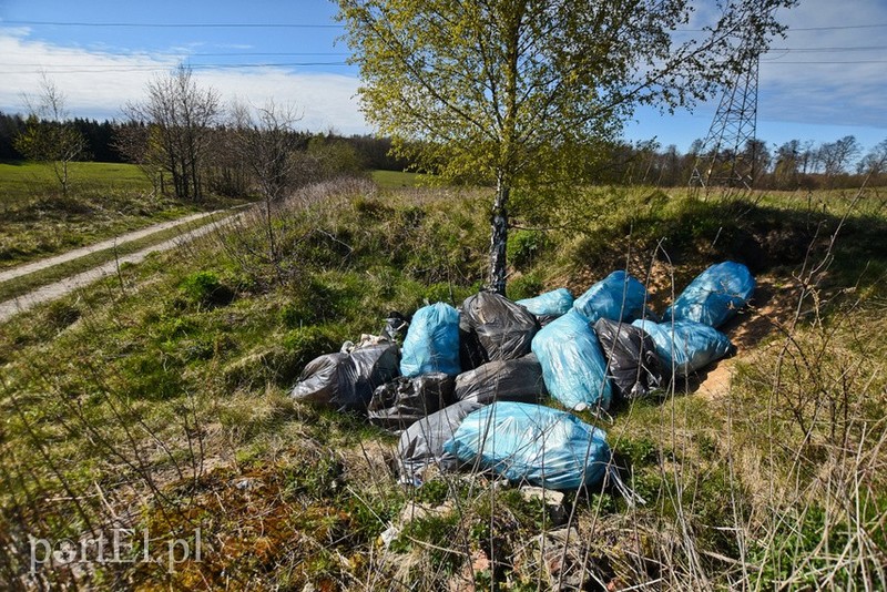 Elbląg, Śmieci czekają na właściciela