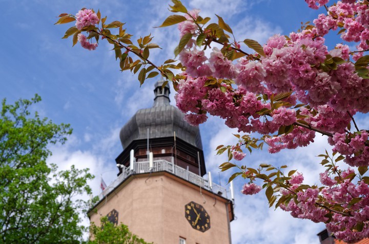 Elbląg, Zdjęcie z konkursu Fotka Miesiąca - maj 2018