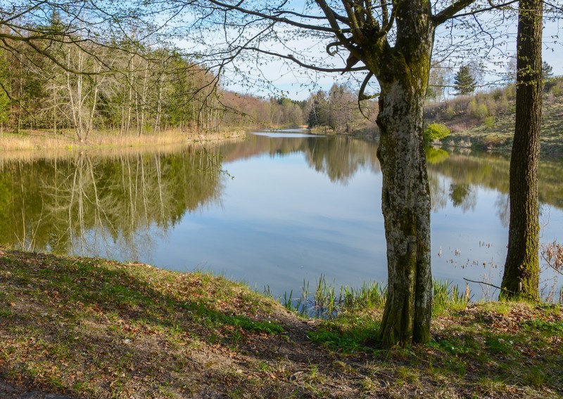 Elbląg, Spiętrzenie wody na jeziorze Troyl