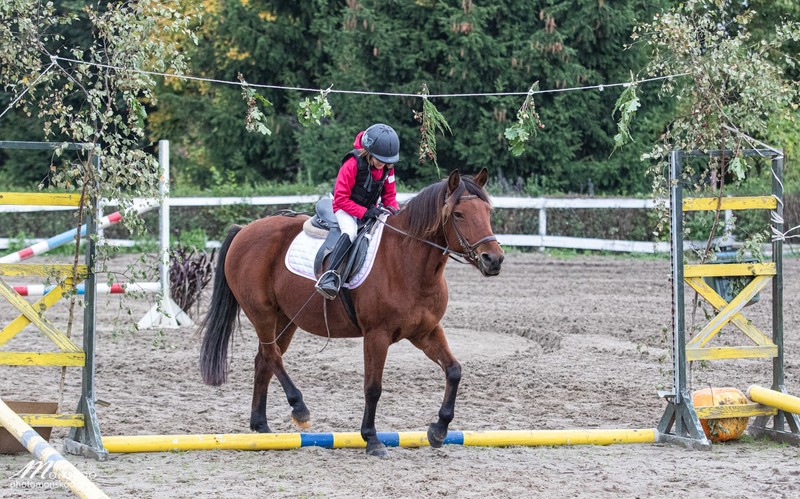 Elbląg, Czwarty sezon Pony Cup zbliża się wielkimi krokami