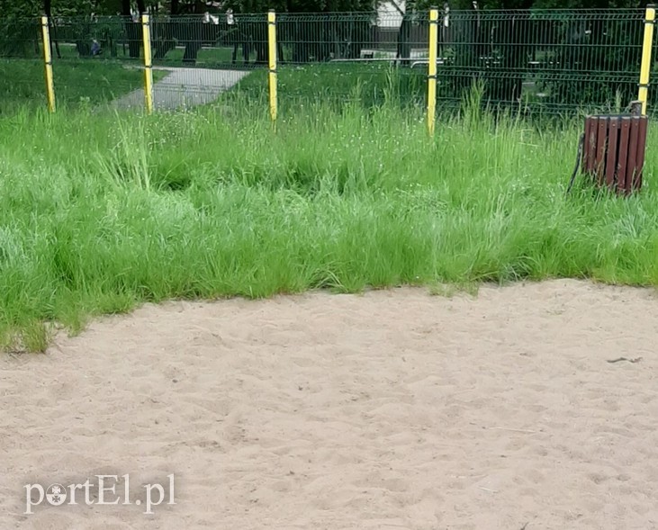 Elbląg, Plac zabaw w parku Kajki, 4 czerwca, Elbląg, Plac zabaw w parku Kajki, 4 czerwca,