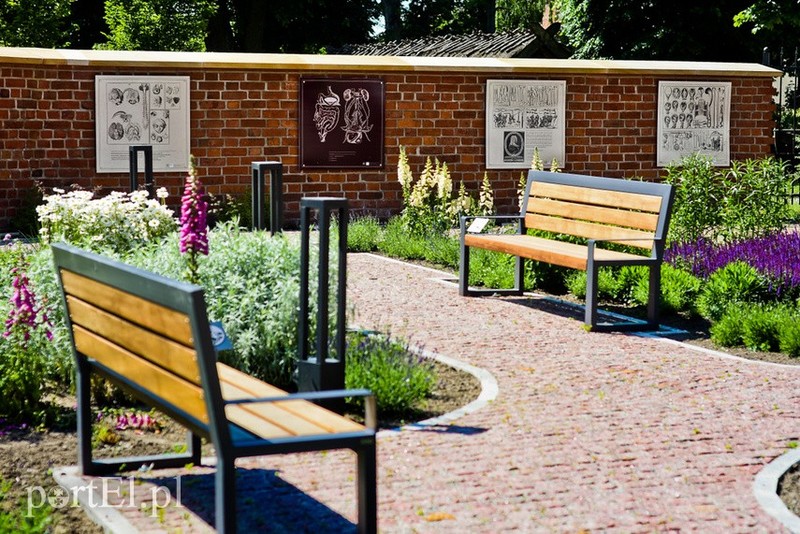 Elbląg, Pracownicy Bilbioteki Elbląskiej zapraszają elblążan do wizyt na dziedzińcu. Elbląg, Pracownicy Bilbioteki Elbląskiej zapraszają elblążan do wizyt na dziedzińcu.