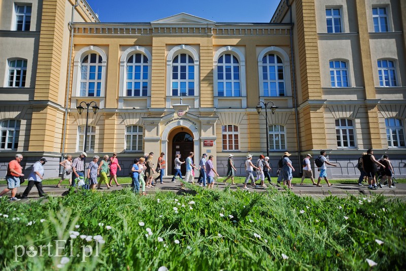 Elbląg, Spacer z przewodnikiem,