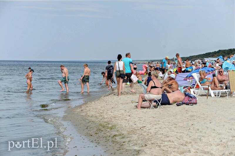 Elbląg, Bon turystyczny nie bez mankamentów