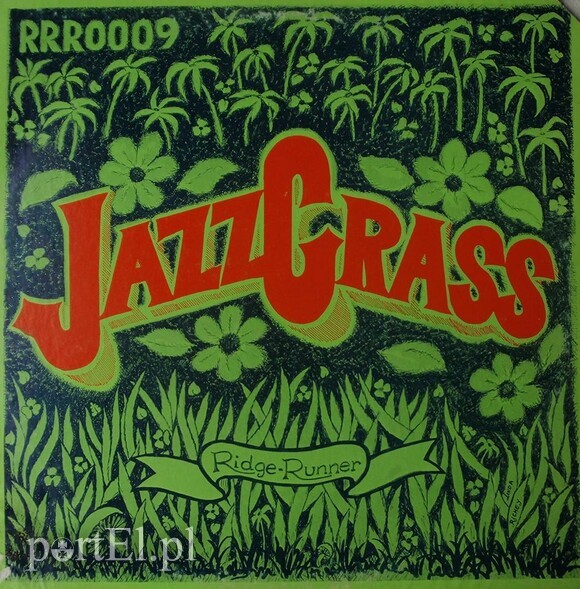 Elbląg, Jazz on the Grass