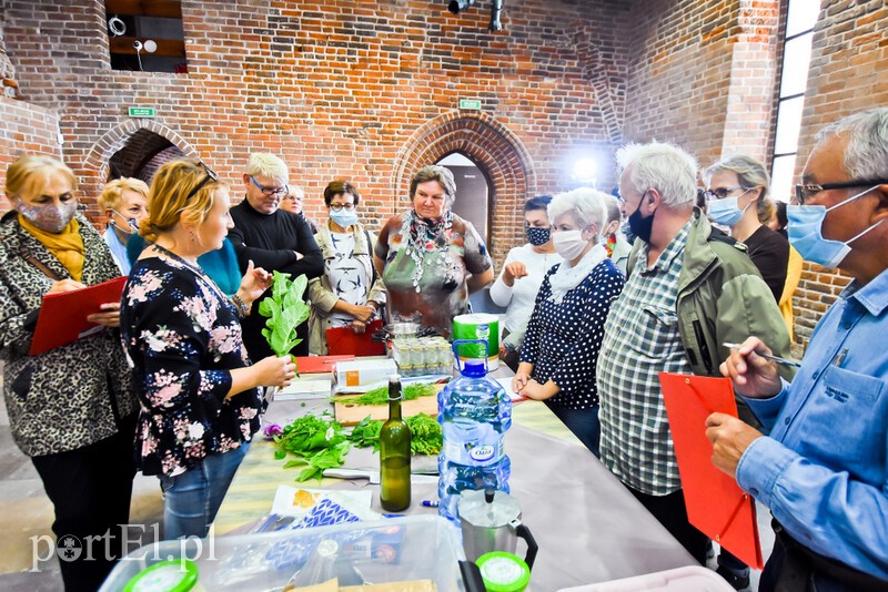 Elbląg, Festiwal pod znakiem ziół Elbląg, Festiwal pod znakiem ziół