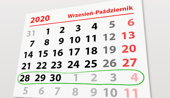 Elbląg, W tym tygodniu portEl poleca: koncert Basi Kawy i Ptasi Piknik Elbląg, W tym tygodniu portEl poleca: koncert Basi Kawy i Ptasi Piknik
