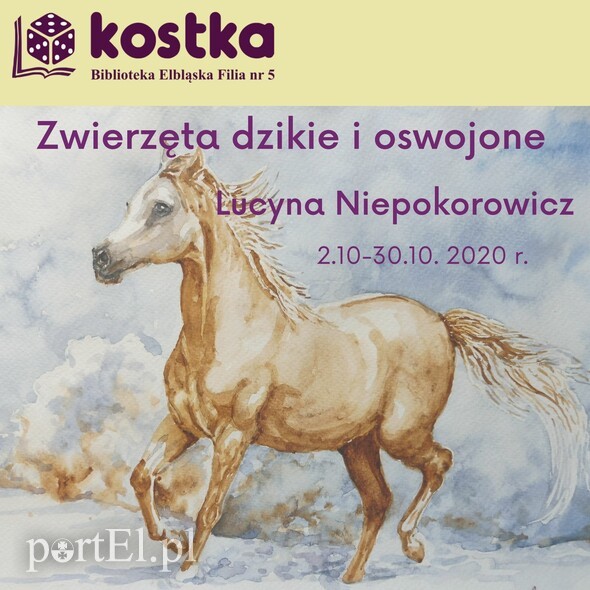 Elbląg, Zwierzęta dzikie i oswojone na wystawie Elbląg, Zwierzęta dzikie i oswojone na wystawie