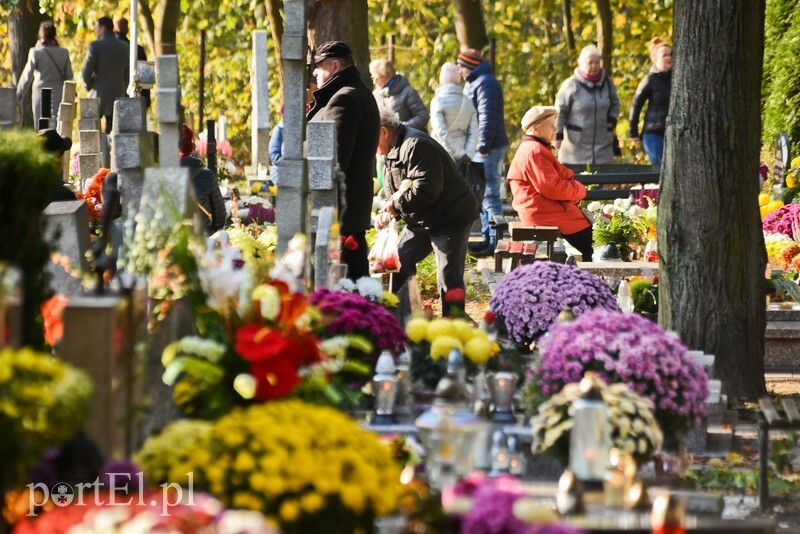 Elbląg, 1 listopada: Czy i jak jechać na cmentarze?