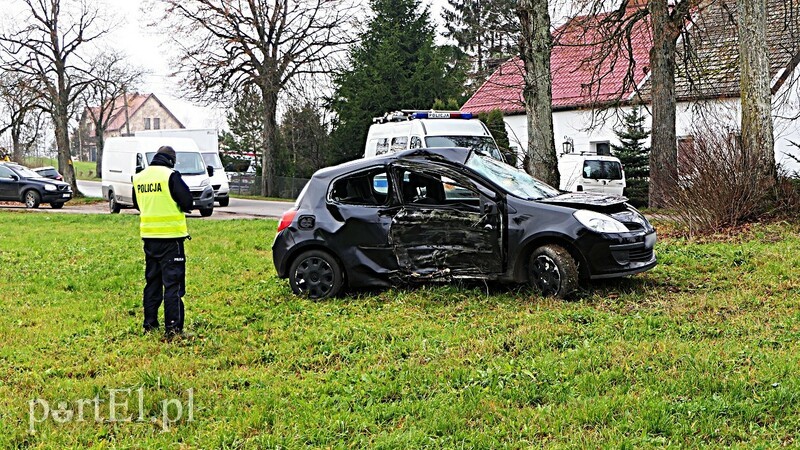 Elbląg, Młoda kobieta uderzyła w drzewo