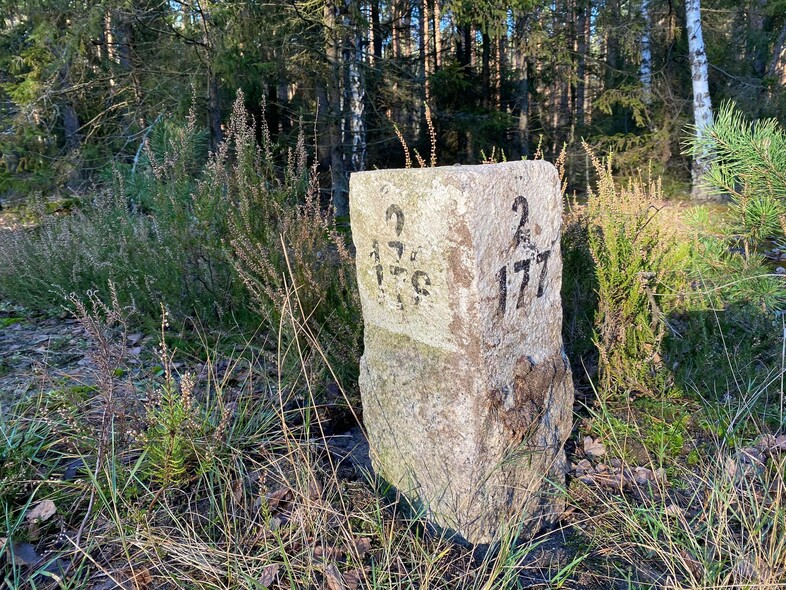 Elbląg, W lesie otrzymasz znaki (Opowieści z lasu, odc. 245)