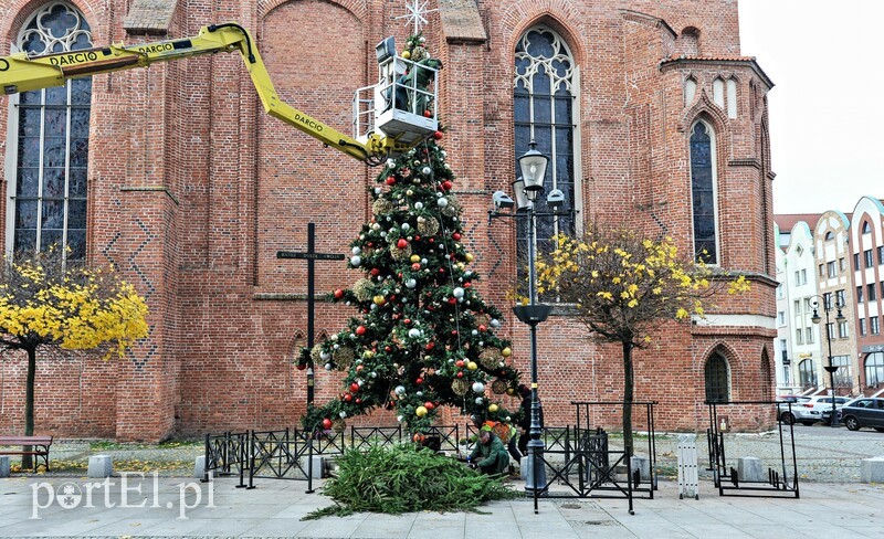 Elbląg, Przed Ratuszem Staromiejskim stanęła choinka,