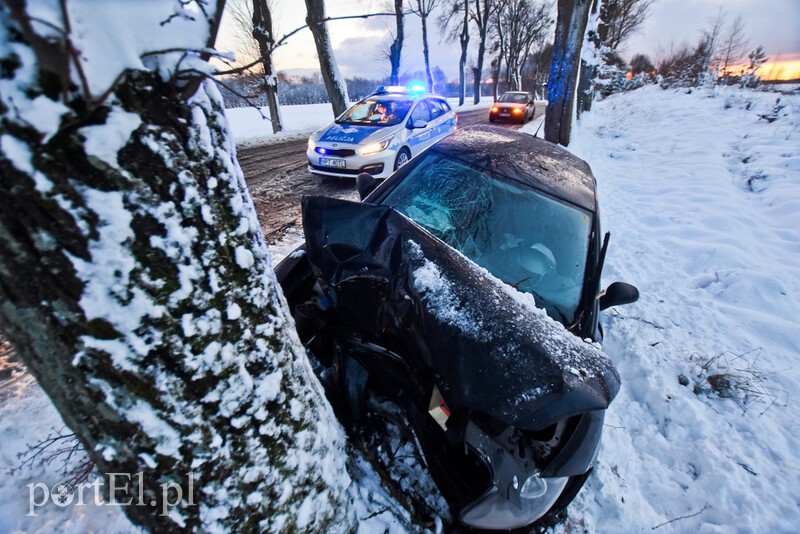 Elbląg, Kierowca seata uderzył w drzewo w Hucie Żuławskiej