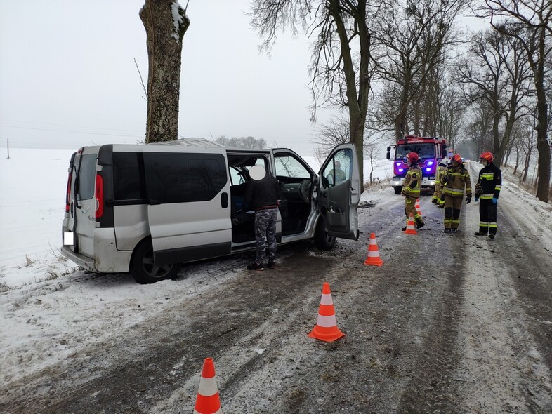 Elbląg, Bus uderzył w drzewo