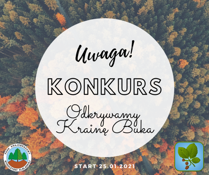 Elbląg, Odkryj Krainę Buka Elbląg, Odkryj Krainę Buka