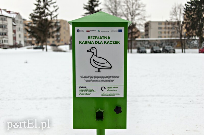 Elbląg, Kacza zagadka nad Kumielą Elbląg, Kacza zagadka nad Kumielą