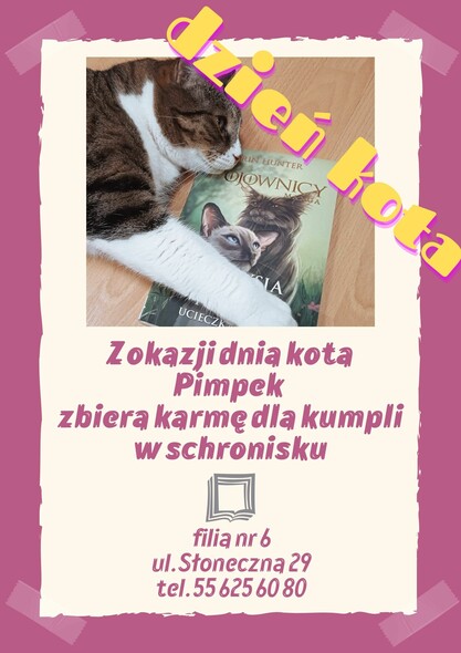 Elbląg, Kot Pimpek pomaga kotom ze schroniska