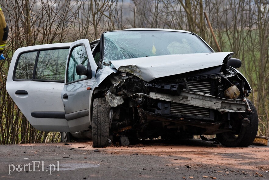 Elbląg, 54-latek uderzył renault w drzewo