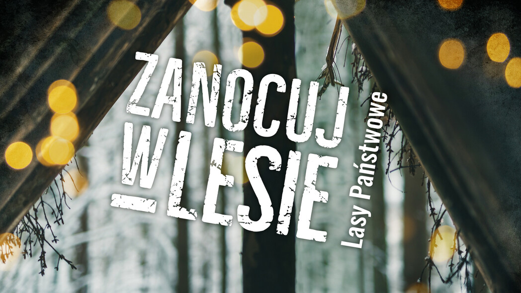 Elbląg, A może tak majówka z noclegiem w lesie?