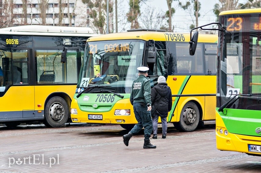 Elbląg, Połowa miejskich autobusów w wersji midi  (aktualizacja)