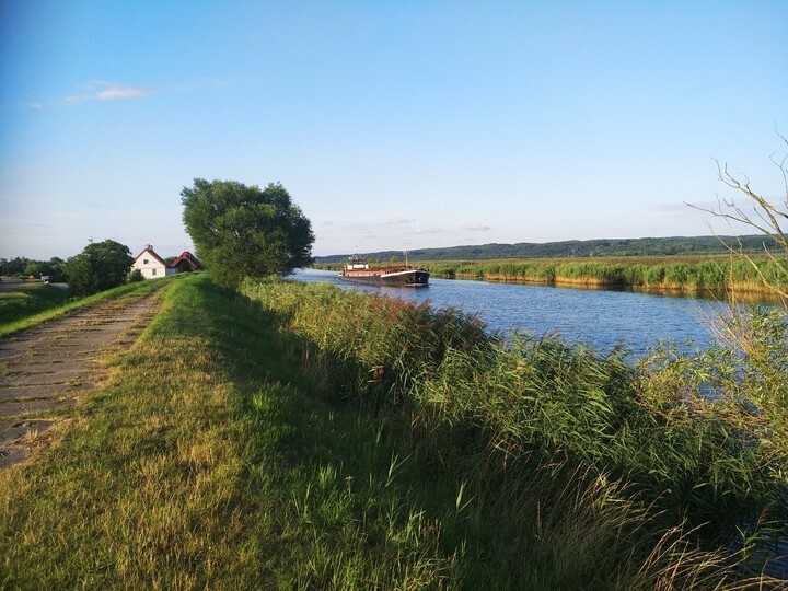 Elbląg, Fotka Miesiąca, Żuławy, sierpień 2019, Batorowo Elbląg, Fotka Miesiąca, Żuławy, sierpień 2019, Batorowo