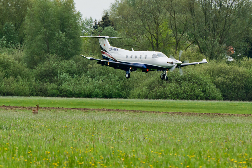 Elbląg, Pilatus lądujący na elbląskim lotnisku Elbląg, Pilatus lądujący na elbląskim lotnisku