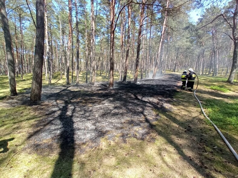 Elbląg, Pożar na terenie elbląskiego nadleśnictwa