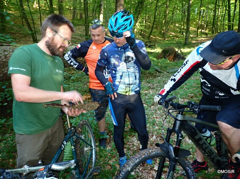 Elbląg, Kolejny rowerowy spacer z leśnikiem Elbląg, Kolejny rowerowy spacer z leśnikiem