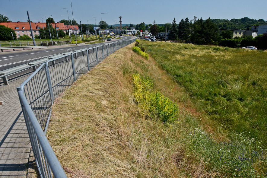 Elbląg, Chętny na działki przy Druskiej poszukiwany