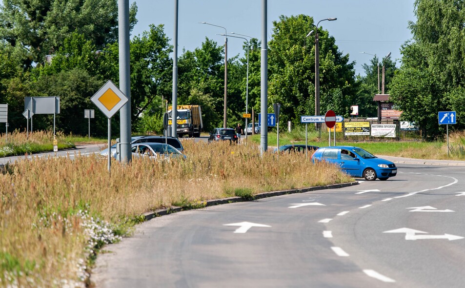 Elbląg, Niekoszona trawa przy ul. Mazurskiej utrudnia kierowcom widoczność na skrzyżowaniu,