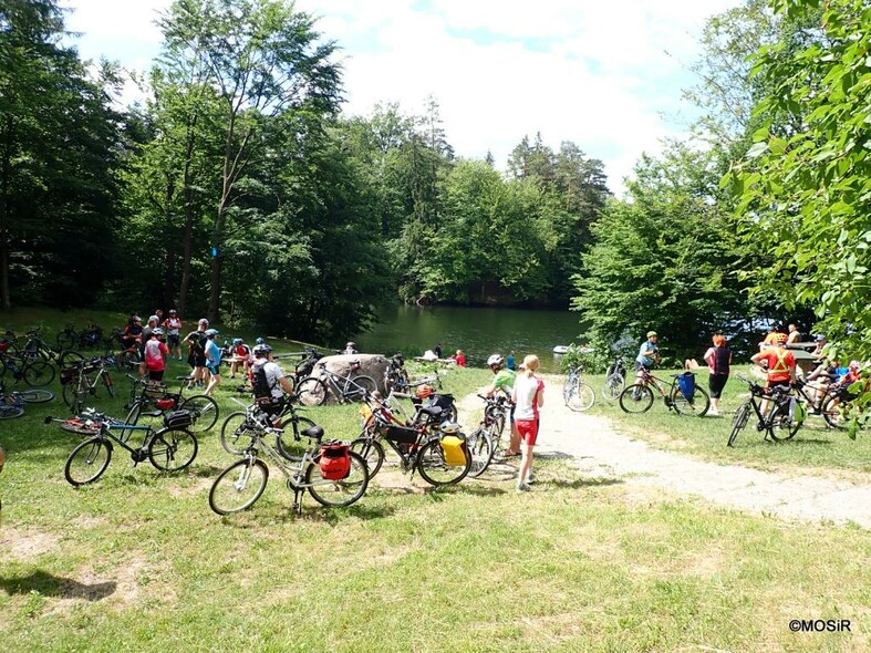 Elbląg, Miejska Wycieczka Rowerowa, Elbląg, Miejska Wycieczka Rowerowa,