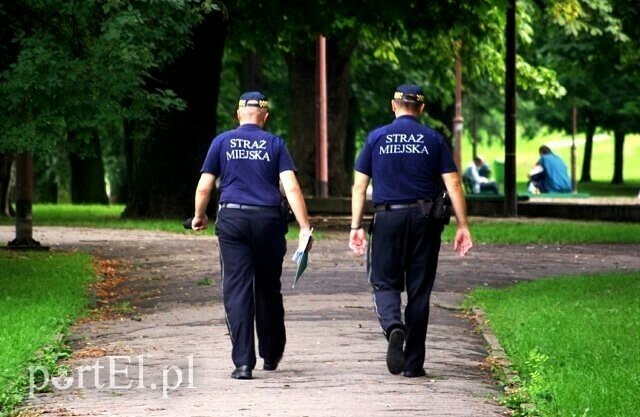 Elbląg, Poszukiwani nowi strażnicy miejscy