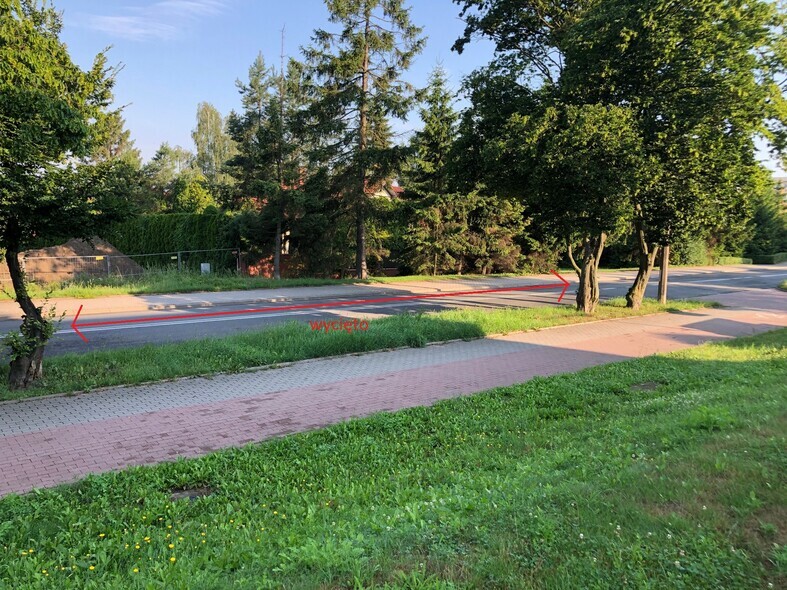 Elbląg, Czytelnik domagał się nowych nasadzeń drzew przy ul. Legionów Elbląg, Czytelnik domagał się nowych nasadzeń drzew przy ul. Legionów
