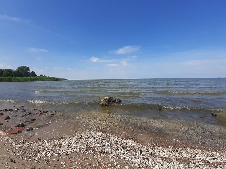 Elbląg, "Psy się tu załatwiają, a ludzie opalają". Sanepid kontroluje plażę w Tolkmicku