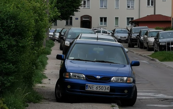 Elbląg, To zdjęcie zrobiliśmy jeszcze przed interwencją Straży Miejskiej