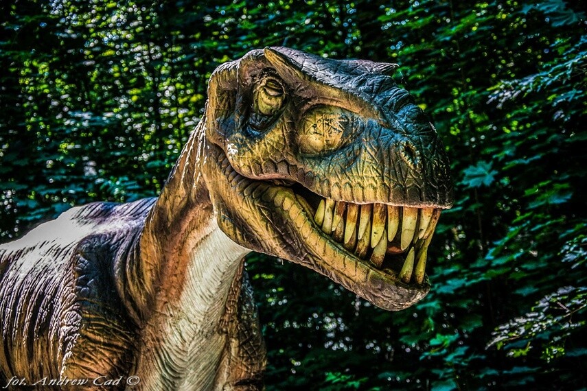 Wyśmienita zabawa dla całej rodziny? Odwiedź Dinopark! Wyśmienita zabawa dla całej rodziny? Odwiedź Dinopark!