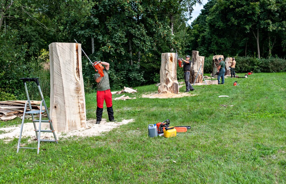 Elbląg, Wystartowało Biennale Form... Drewnianych Elbląg, Wystartowało Biennale Form... Drewnianych