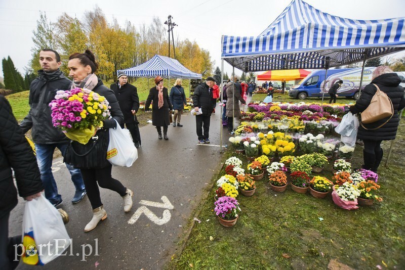 Elbląg, Tegoroczny handel przy cmentarzach Elbląg, Tegoroczny handel przy cmentarzach