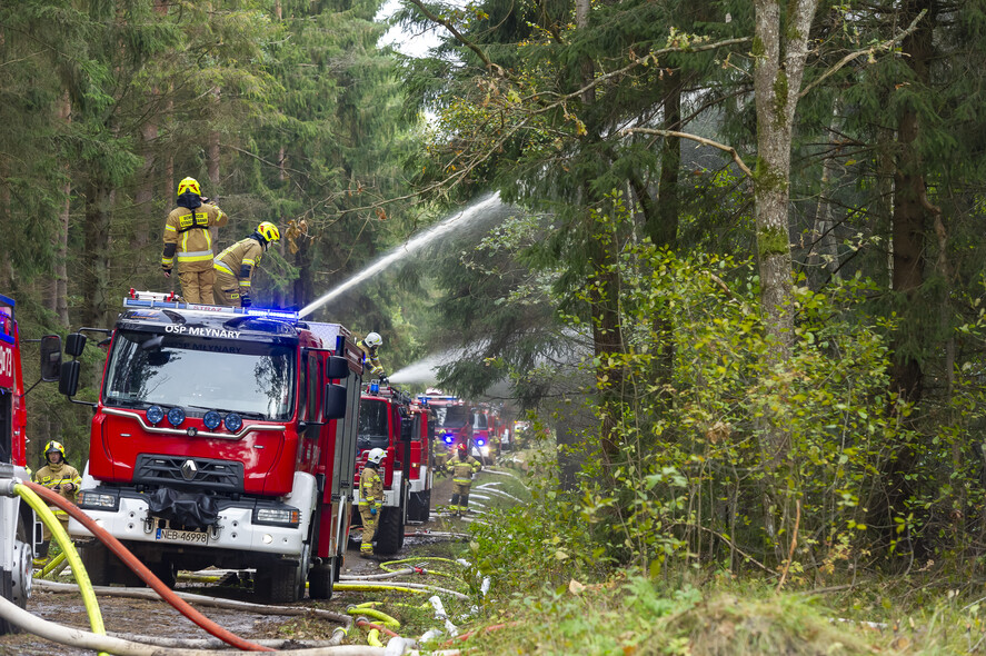 Elbląg, Strażacy ćwiczyli, jak ratować las