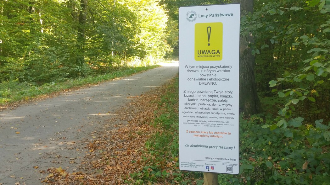 Elbląg, W miejscach wycinki Nadleśnictwo Elbląg ustawiło tabliczki, Elbląg, W miejscach wycinki Nadleśnictwo Elbląg ustawiło tabliczki,