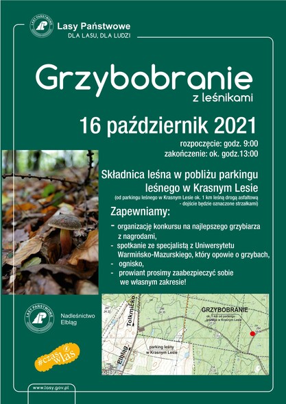 Elbląg, Grzybobranie z leśnikami