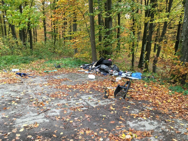 Elbląg, Czytelnik: Kto zaśmieca Jelenią Dolinę? Elbląg, Czytelnik: Kto zaśmieca Jelenią Dolinę?
