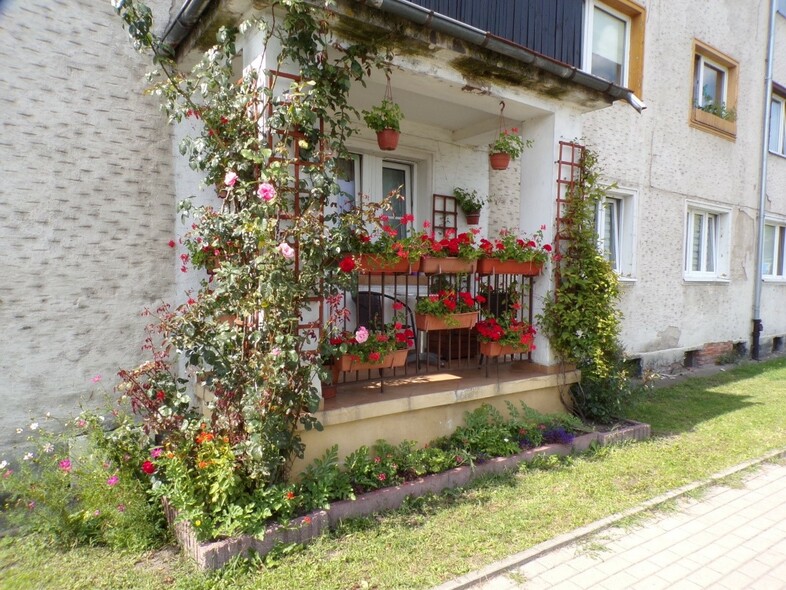Elbląg, Tak wygląda najpiękniejszy balkon Elbląg, Tak wygląda najpiękniejszy balkon
