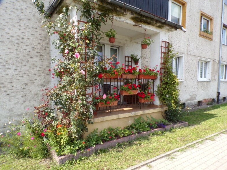 Elbląg, Tak wygląda najpiękniejszy balkon