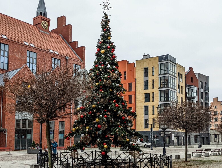 Elbląg, Choinka rozbłyśnie 6 grudnia Elbląg, Choinka rozbłyśnie 6 grudnia