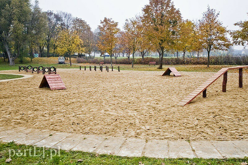 Elbląg, Park dla psów na Dolince Elbląg, Park dla psów na Dolince