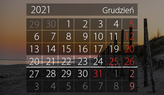Elbląg, W tym tygodniu portEl poleca: wigilię przy stoliku, wystawę w muzeum i minimaraton Elbląg, W tym tygodniu portEl poleca: wigilię przy stoliku, wystawę w muzeum i minimaraton