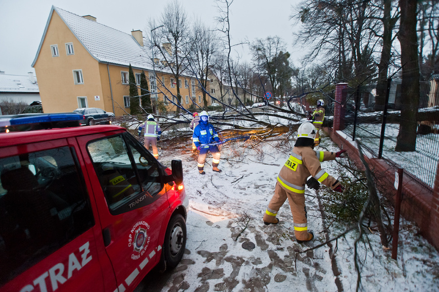 Elbląg, Strążacy z Elbląga usuwają wiatrołomy Elbląg, Strążacy z Elbląga usuwają wiatrołomy