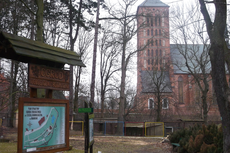 Elbląg, Kto zjadł osły z ZOO?