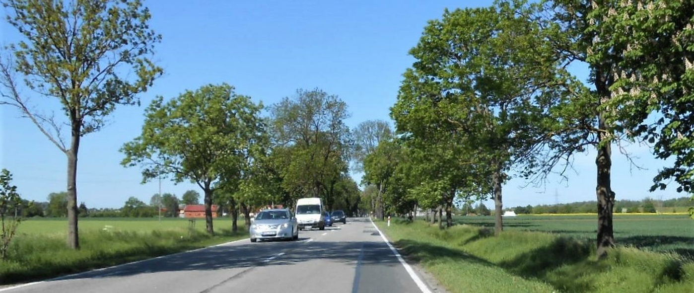 Elbląg, Odcinek drogi krajowej nr 22 Elbląg, Odcinek drogi krajowej nr 22
